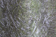 Priestthorpe fibreglass roof work